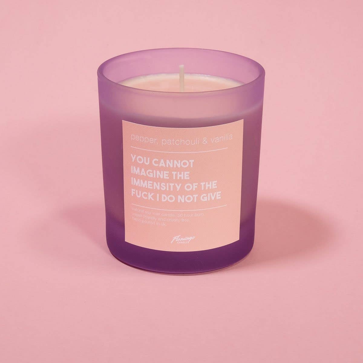 'You Cannot Imagine the Immensity of the Fuck I Do Not Give' Frosted Jar Candle