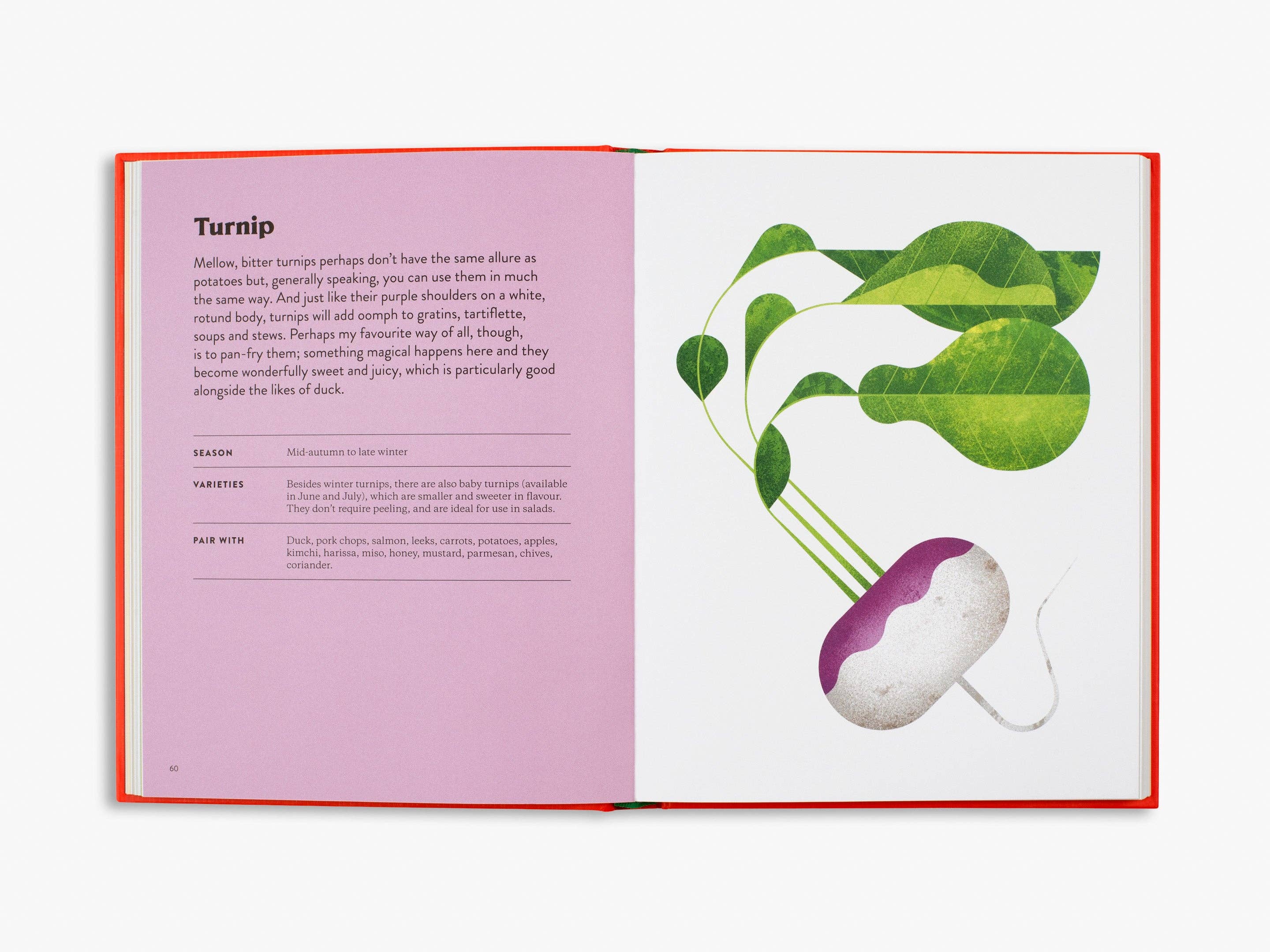 Vegetable Genius Book
