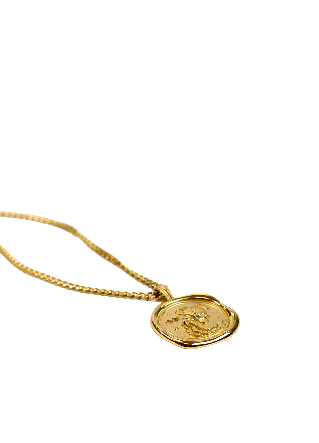 Gold Zodiac Medallion Necklace