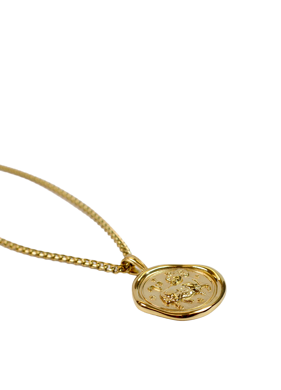 Gold Zodiac Medallion Necklace