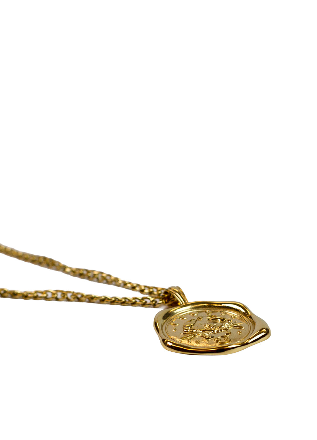 Gold Zodiac Medallion Necklace