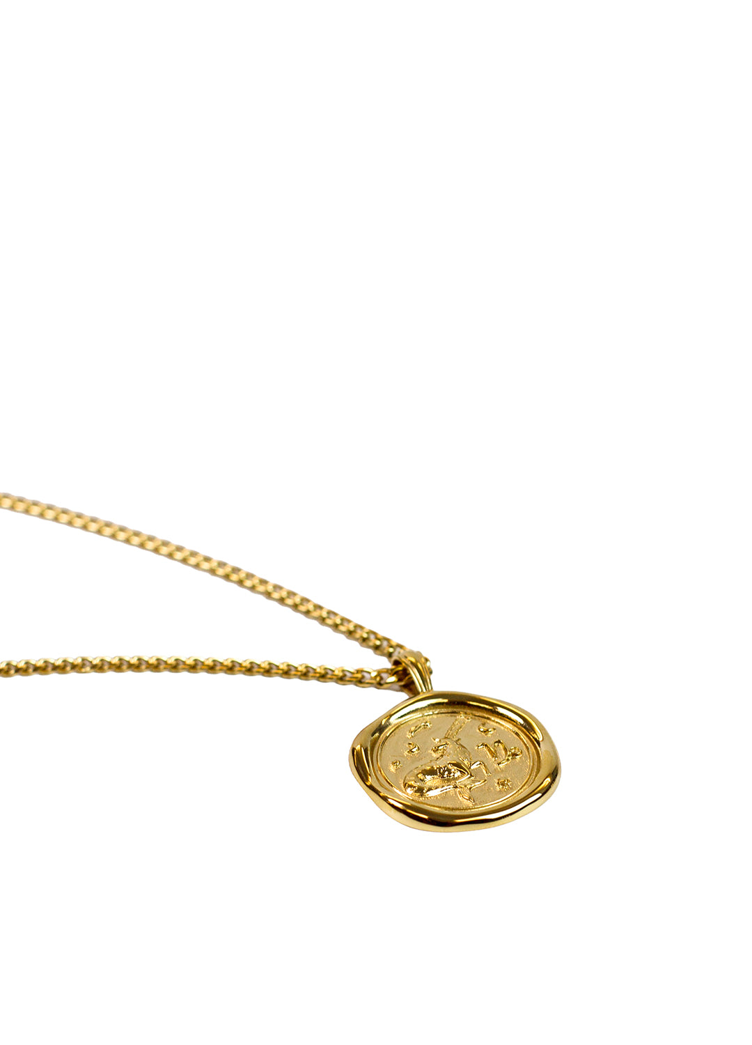 Gold Zodiac Medallion Necklace