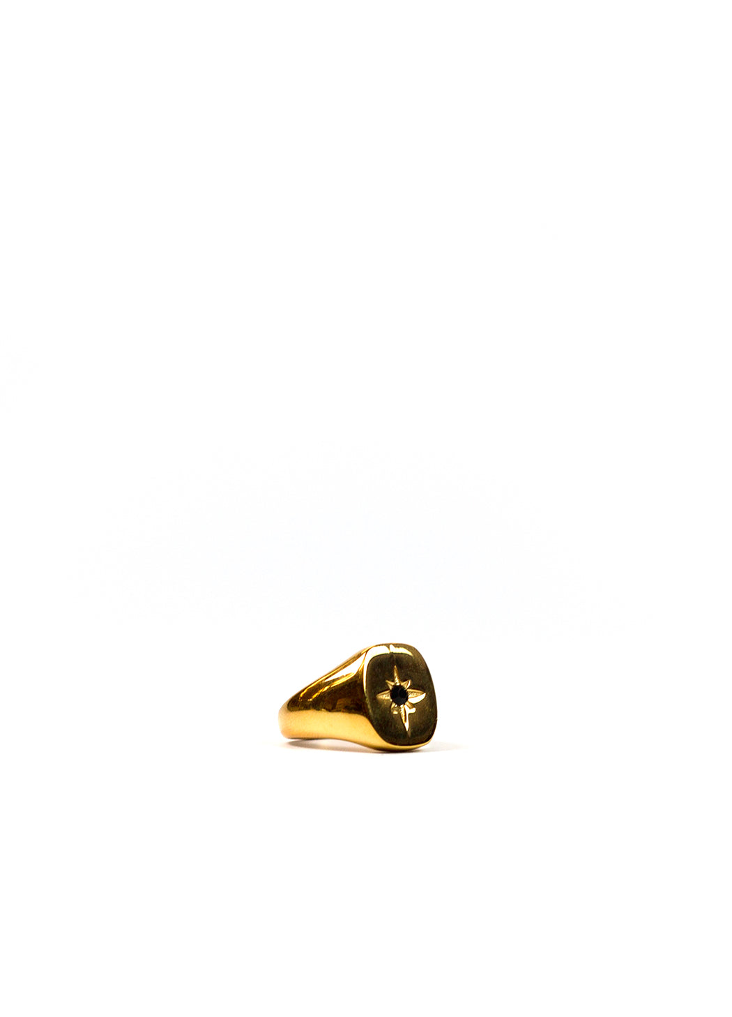 Side shot of the black gem signet ring against a white background.