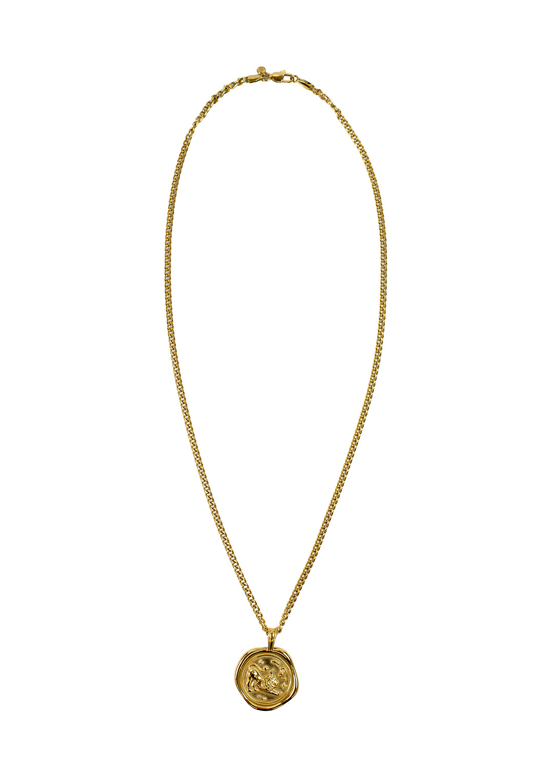 Gold Zodiac Medallion Necklace