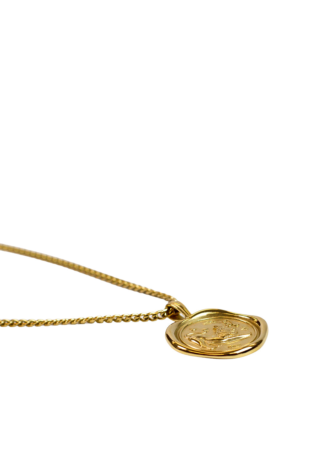 Gold Zodiac Medallion Necklace