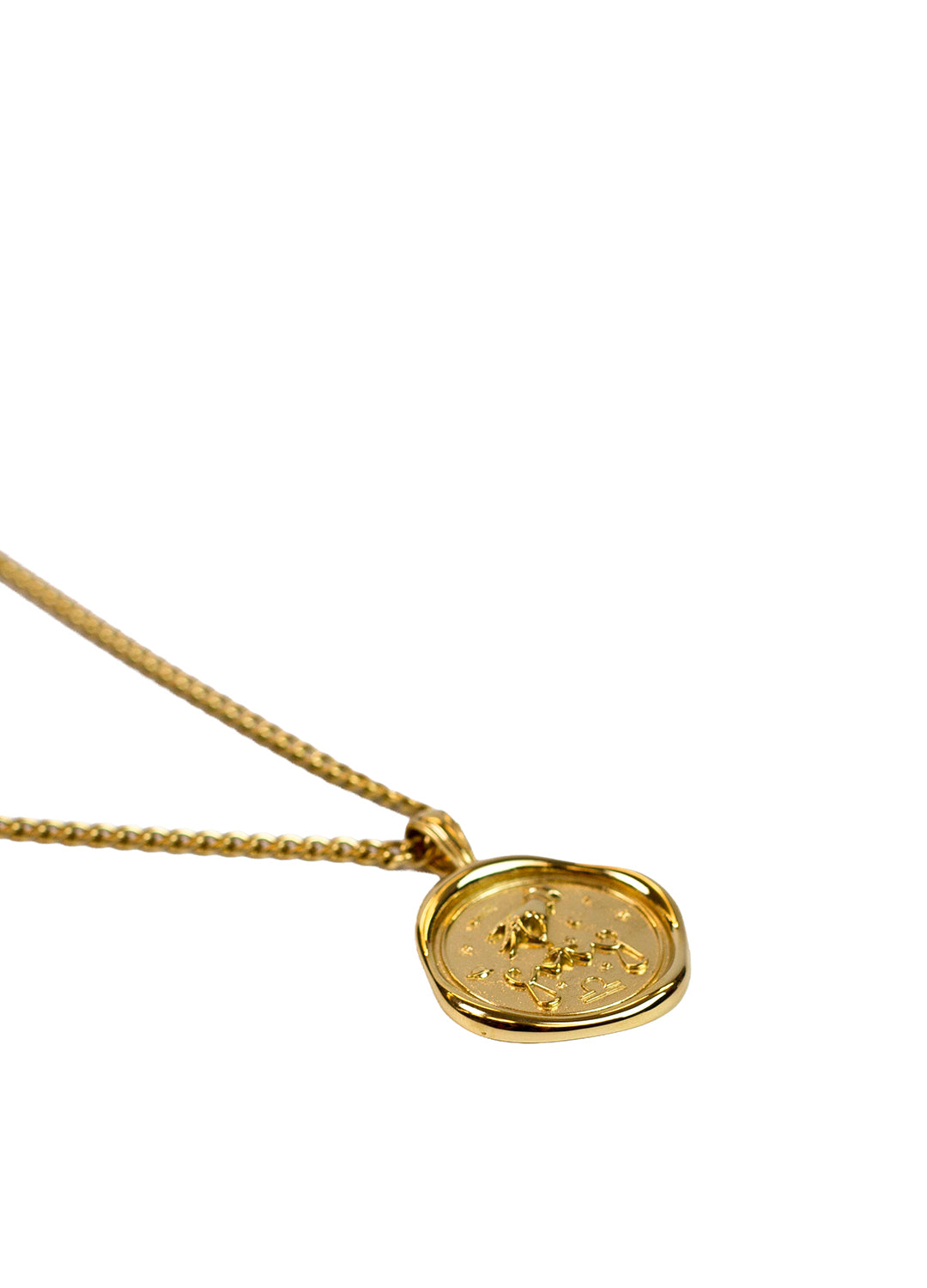 Gold Zodiac Medallion Necklace
