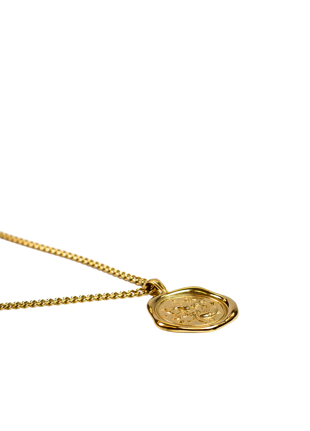 Gold Zodiac Medallion Necklace