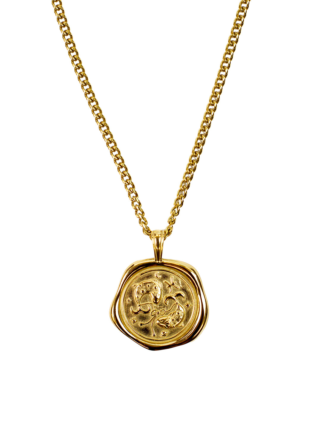 A gold chain necklace with a circular wax-seal style pendant featuring a Pisces Zodiac design, shown against a plain white background.