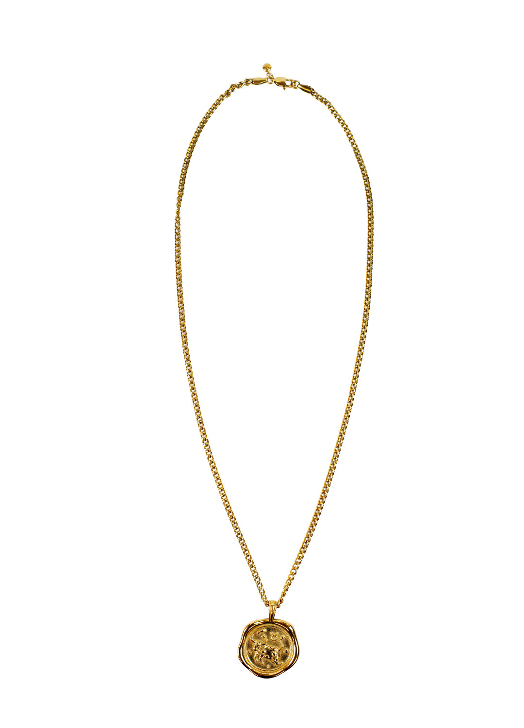 Gold Zodiac Medallion Necklace
