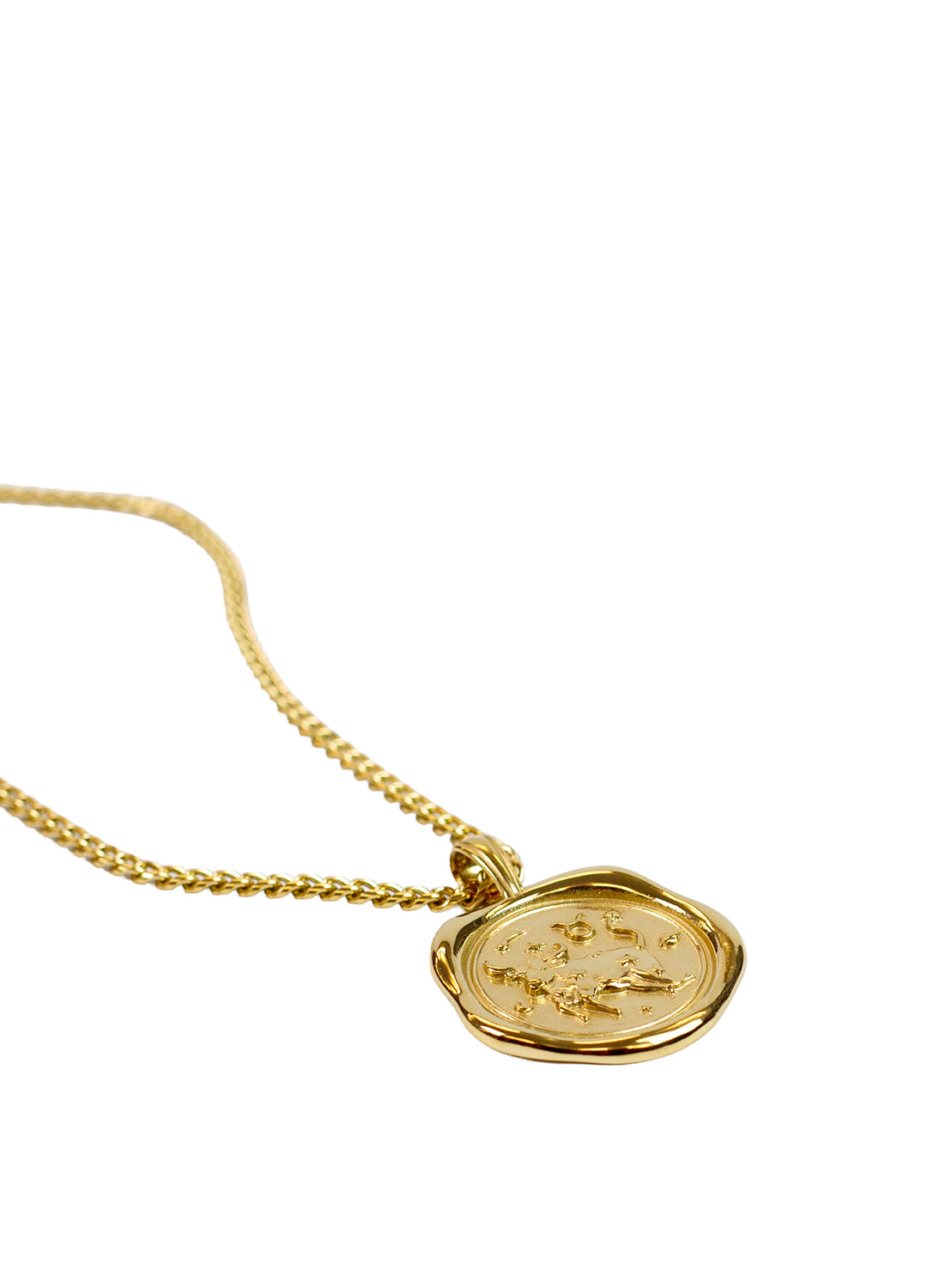 Gold Zodiac Medallion Necklace