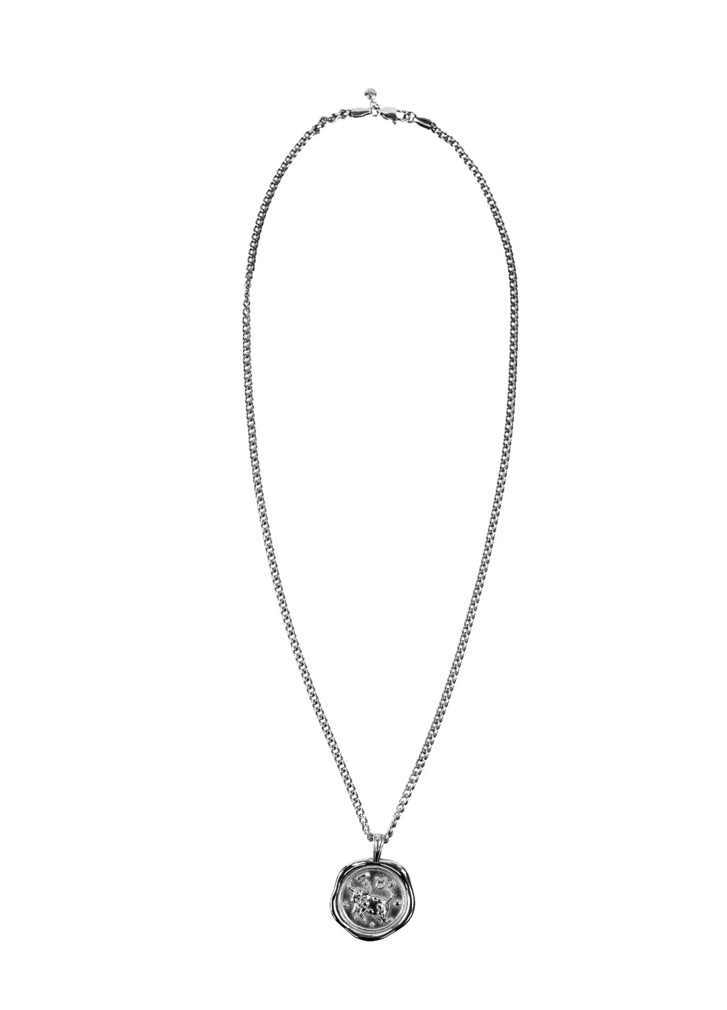 Silver Zodiac Medallion Necklace