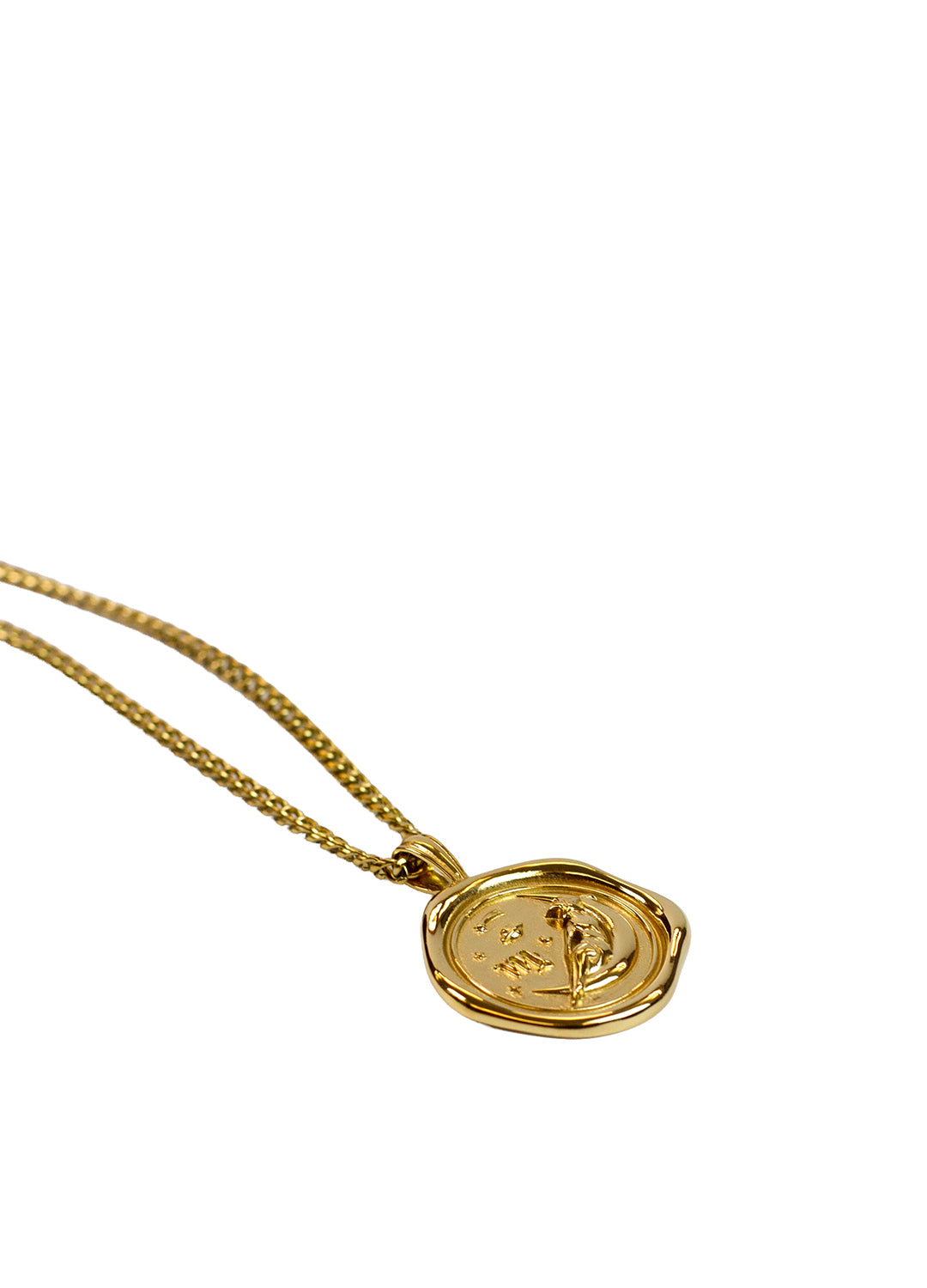 Gold Zodiac Medallion Necklace