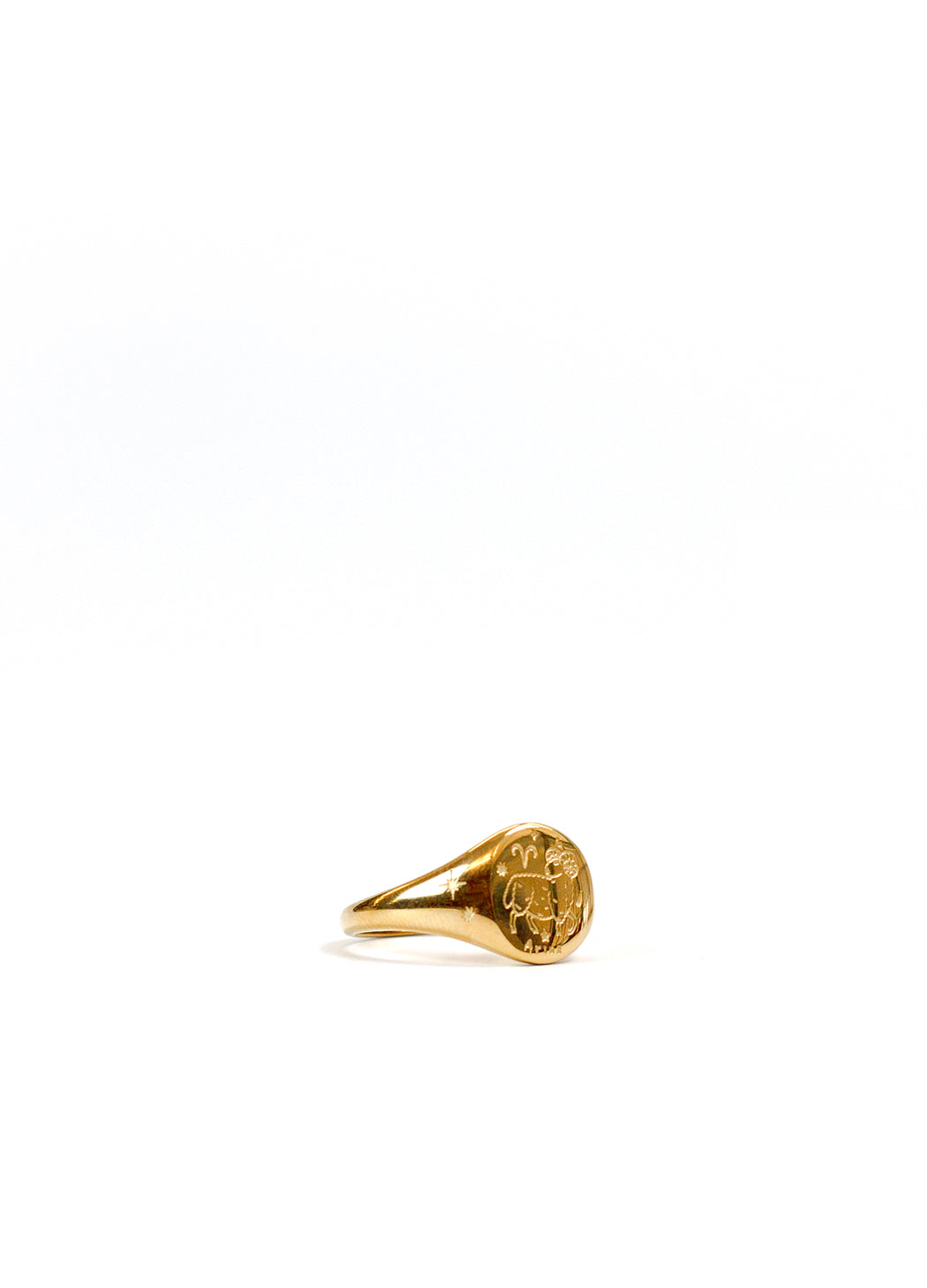 Gold Zodiac Signet Ring