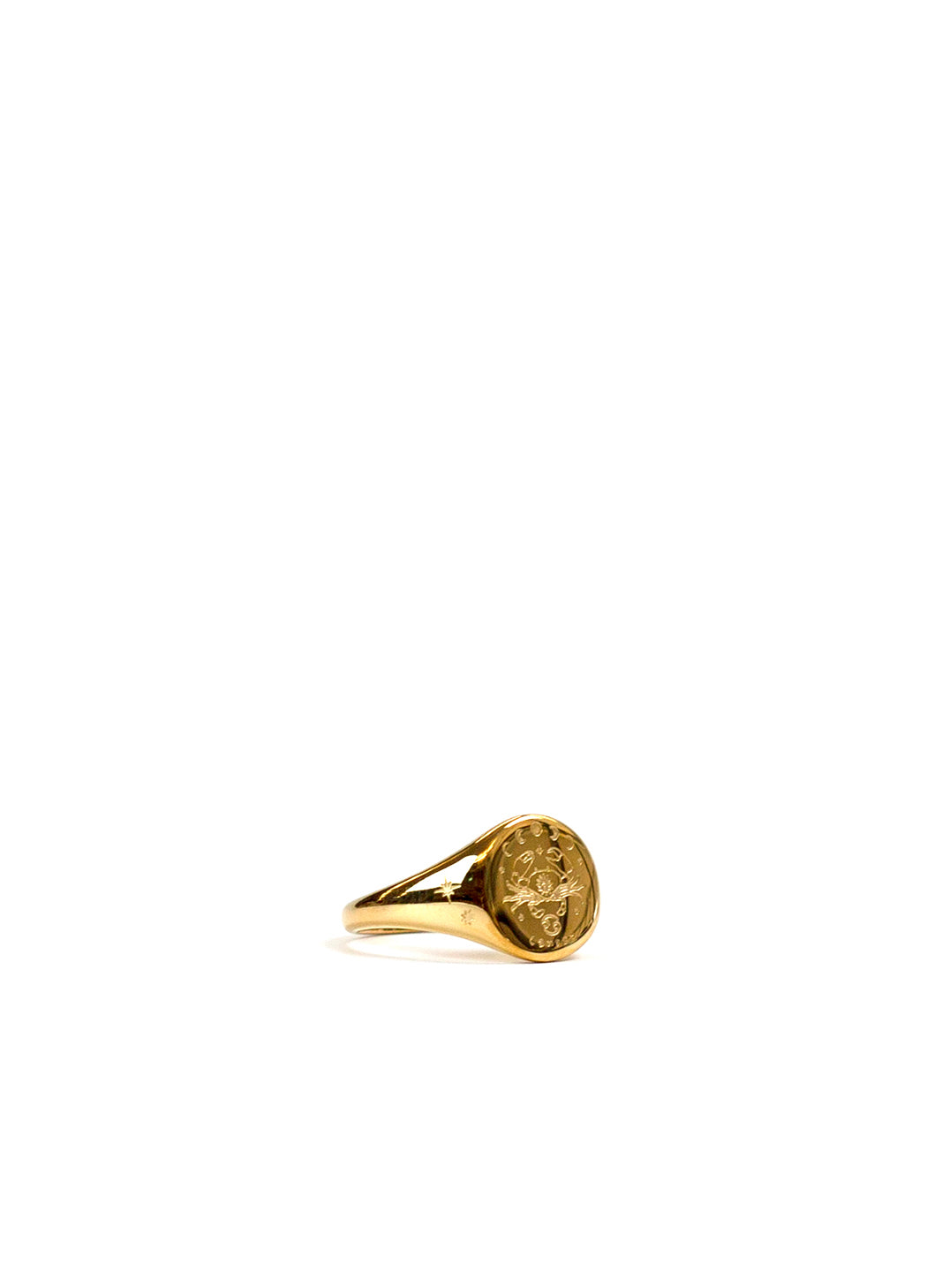 Gold Zodiac Signet Ring