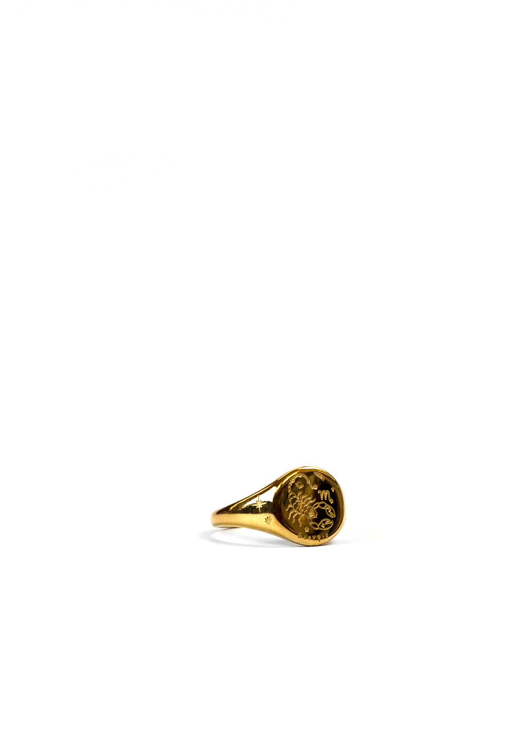 Gold Zodiac Signet Ring